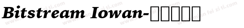 Bitstream Iowan字体转换